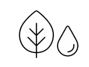 Icono Region Pacifica